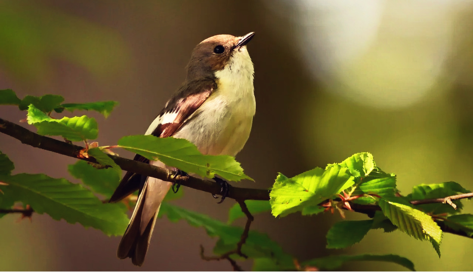 Offering praise awakens our hearts to know Him.