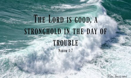 Hurricane Helene Startled Me Into Whimpers of Screams