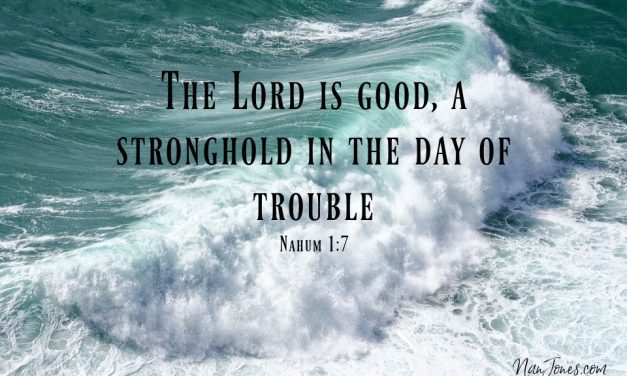 Hurricane Helene Startled Me Into Whimpers of Screams