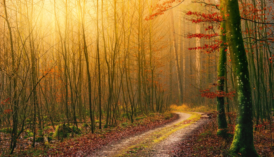 God speaks life into our troubled hearts.