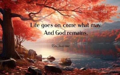 Before Winter’s Chill, a Burst of Glory. Life Goes On