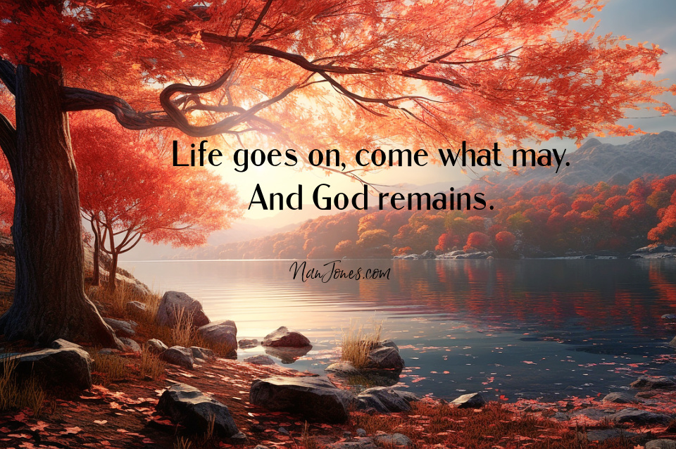 Before winter's chill, a burst of glory. Life goes on.