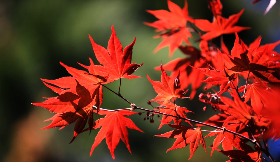 Life will go on, season by season.