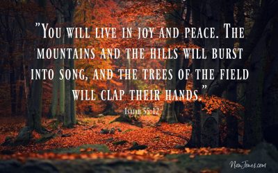 And Yet, Let the Trees of the Field Clap Their Hands