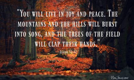 And Yet, Let the Trees of the Field Clap Their Hands