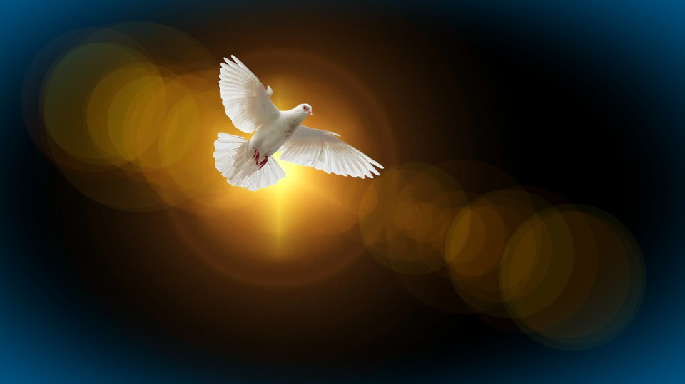 Fil me with Your peace so I might overflow to help others.