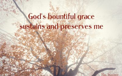 A Reflection of Grace on the Forest’s Edge