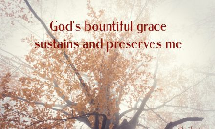 A Reflection of Grace on the Forest’s Edge