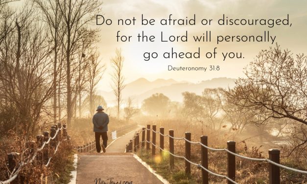 Dappled Light Flickered as God Offered Me  Reassurance