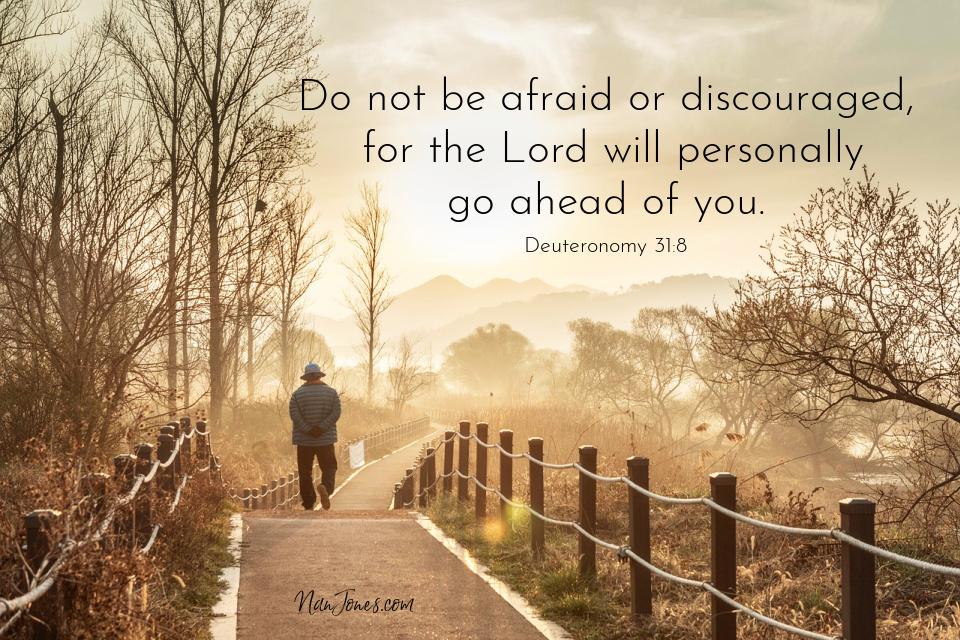 Dappled Light Flickered as God Offered Me  Reassurance