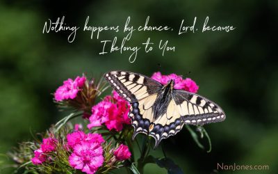 The Path is Bright. The Path is Dark…But for Grace