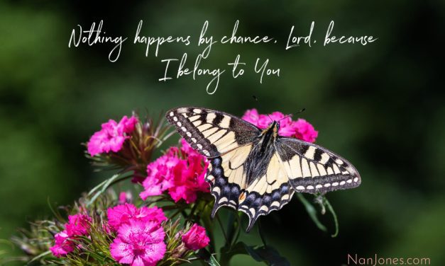 The Path is Bright. The Path is Dark…But for Grace