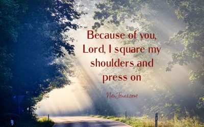 I’m Overwhelmed Until I Get a Glimpse of You, Lord