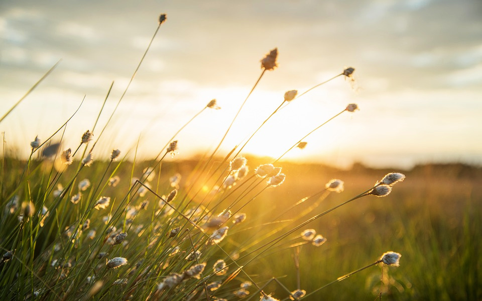 My thankful heart allows Your light to shine in my darkness