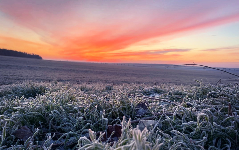 Your peace washes over me and I am  helped