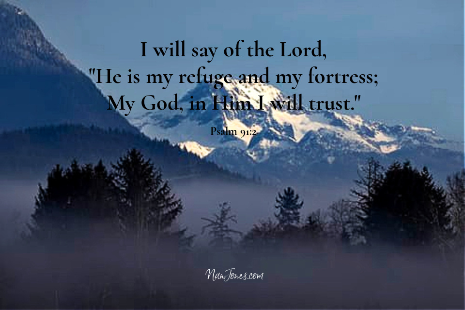 Be like a field mouse. Know your enemy.