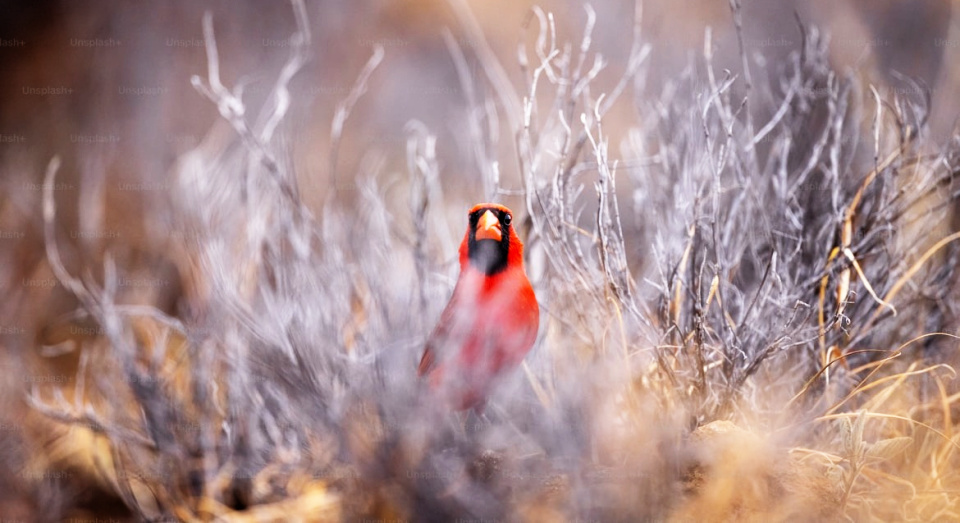 God promises enough strength for the day