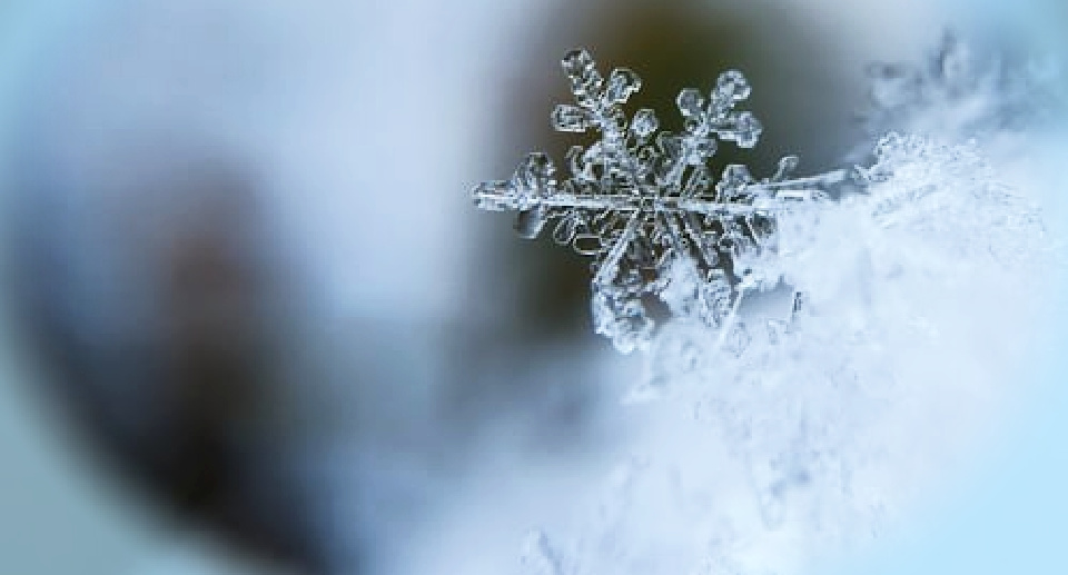 Let not my heart be troubled, Lord.