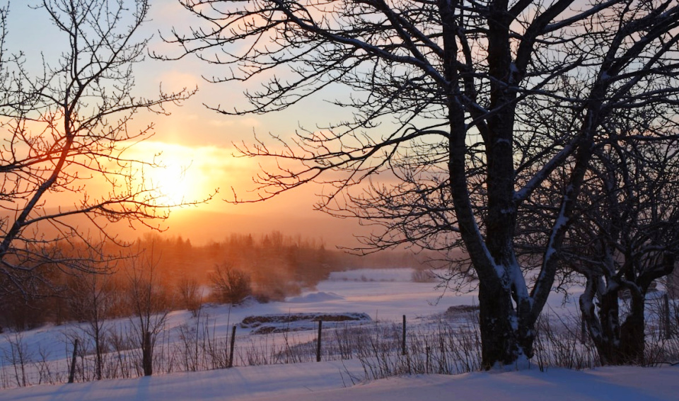 His holy hush wrapped me in His love