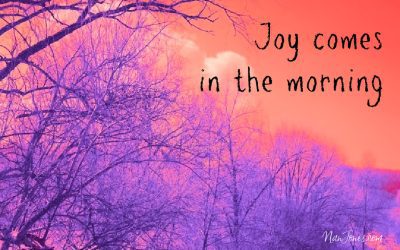 There! A Bluebird in the Shimmering Splendor