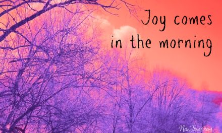 There! A Bluebird in the Shimmering Splendor