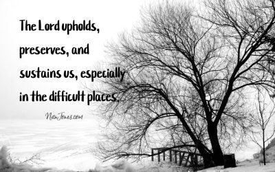 And Yet the Tree Lived,  Thriving On the River’s Edge