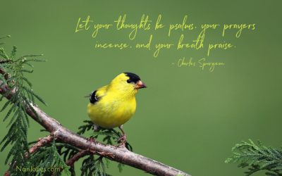 Birdsong Held My Restless Thoughts and Led Me to God