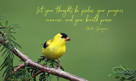 Birdsong Held My Restless Thoughts and Led Me to God