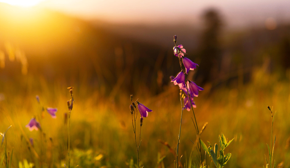 In the morning light, hints of grace are presenct