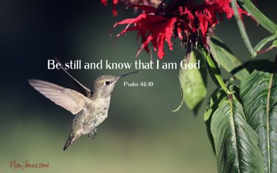In the Stillness, We Remember and the Chaos Ceases