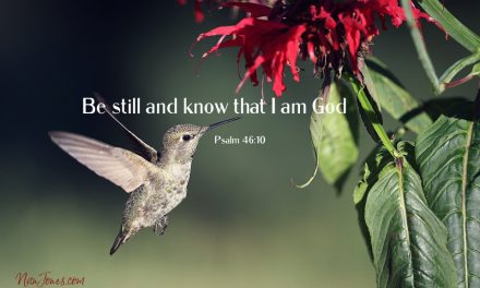 In the Stillness, We Remember and the Chaos Ceases