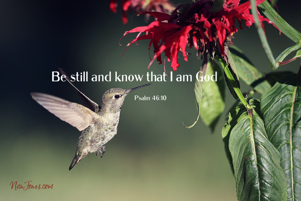 In the stillness, we remember and the chaos ceases