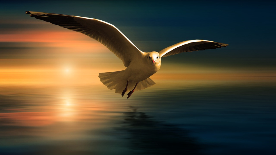 I'm seeking God because He is the song in the night.