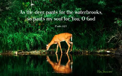 God Whispered to Me, “Look Up and Behold My Glory!”