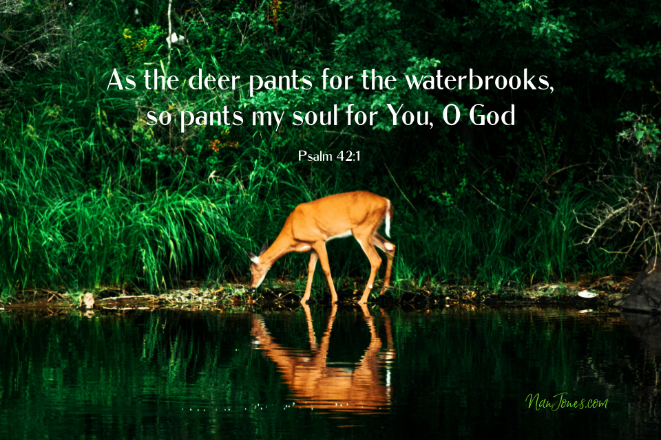 God Whispered to me, "Look up and behold My glory!"