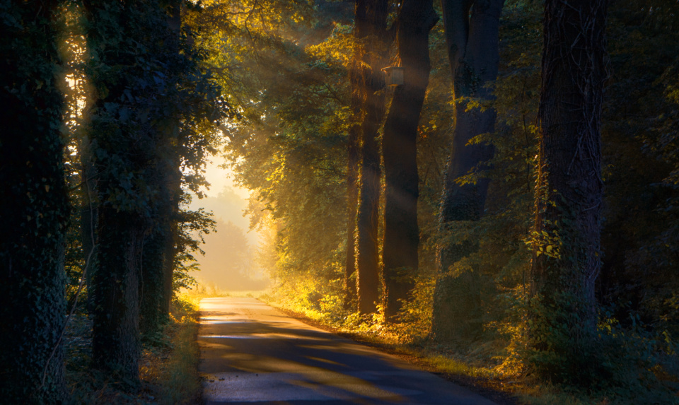 When I let go, You always make a way.