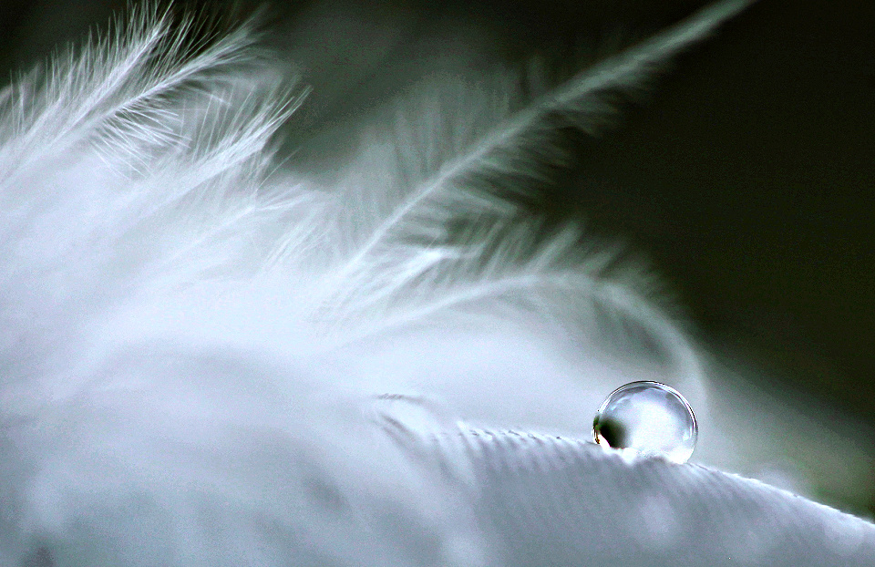 God is with us, especially in the tears.