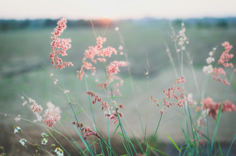 Peace I leave with you. Let not your heart  be troubled, not let it be afraid