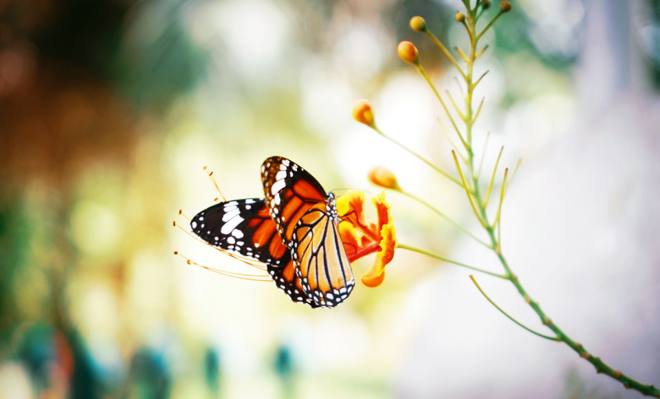 The truth of God's unfailing love sets us free.