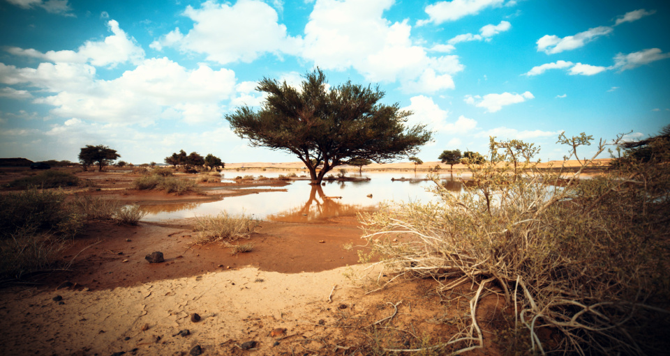 Where is God? He gives waters in the wilderness and rivers in the desert.